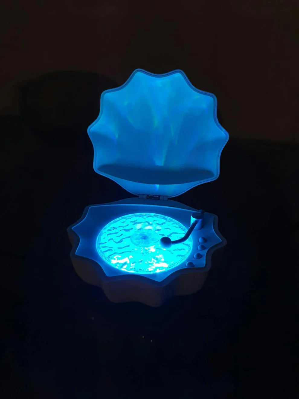 Zanora Shell Wave