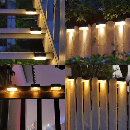 Zanora Nocna Poświata
