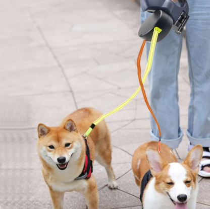 Zanora SmartLeash